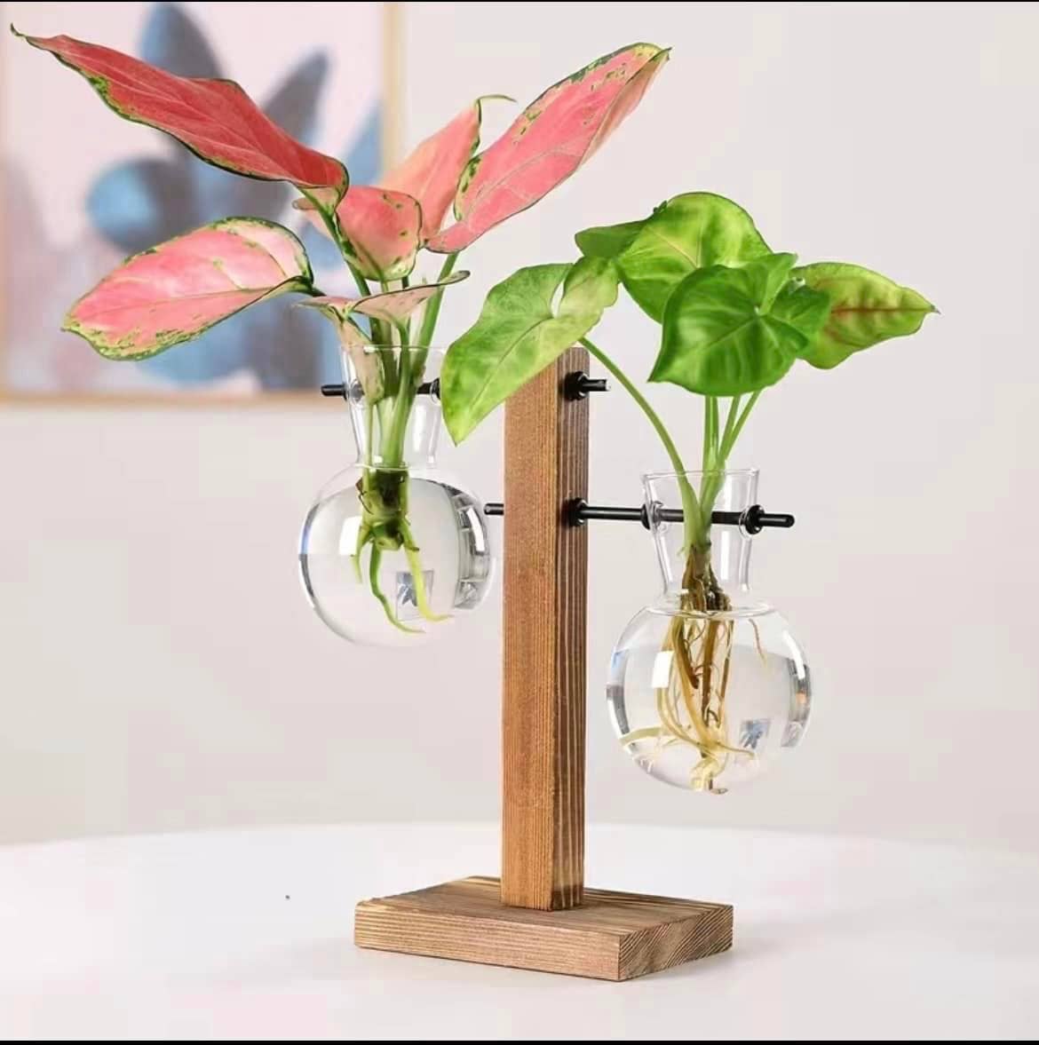 Hydroponic Planter, Flower Pot, Mini Plant: Style C - HER Home Design Boutique
